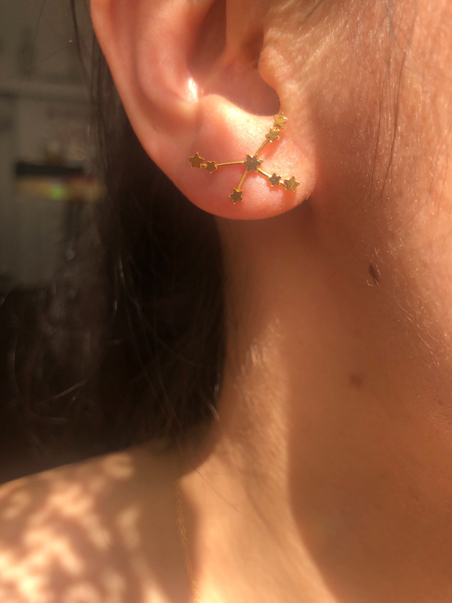 Lyra and Aquila Constellation earrings (pair)